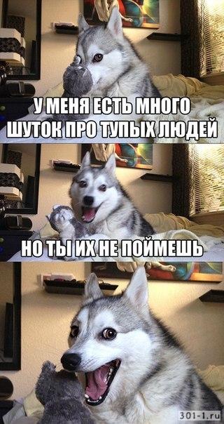 Для людей с IQ 200 и выше