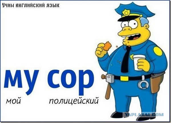 Дурацкие картинки