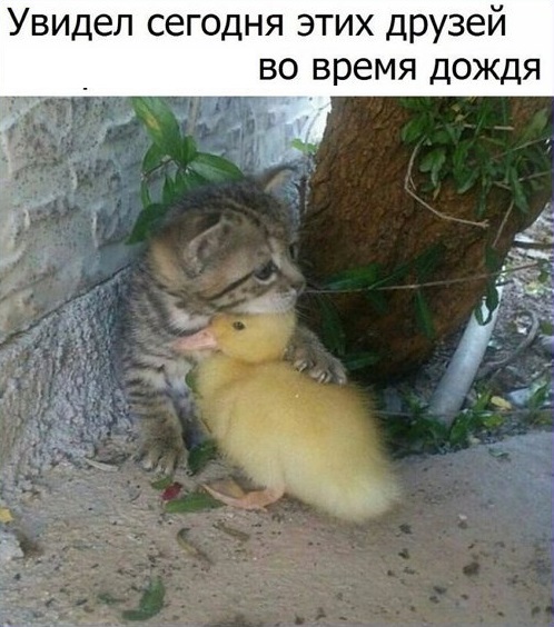 Чуток картинок 09.06.19