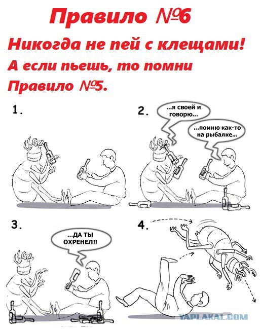 Укус клеща. Как кусает клещ!