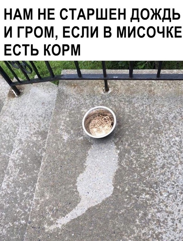 Немного картинок с надписями и без - 9