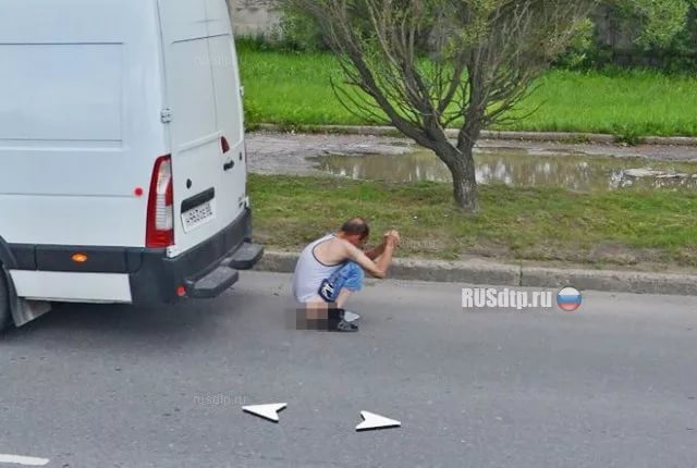 Google Street View показал топ-10 животных, случайно попавших в кадр