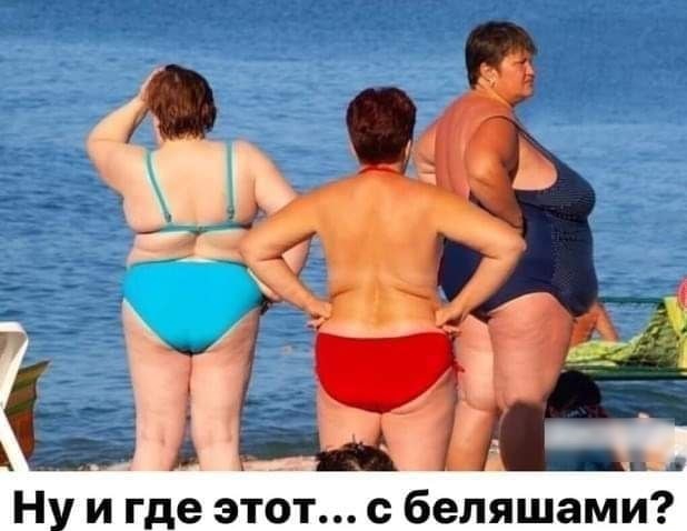 Применим физику в постели или белка и стрелка. Картинки