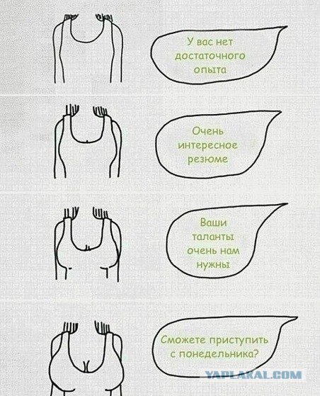 Работа волк, убежала в лес.