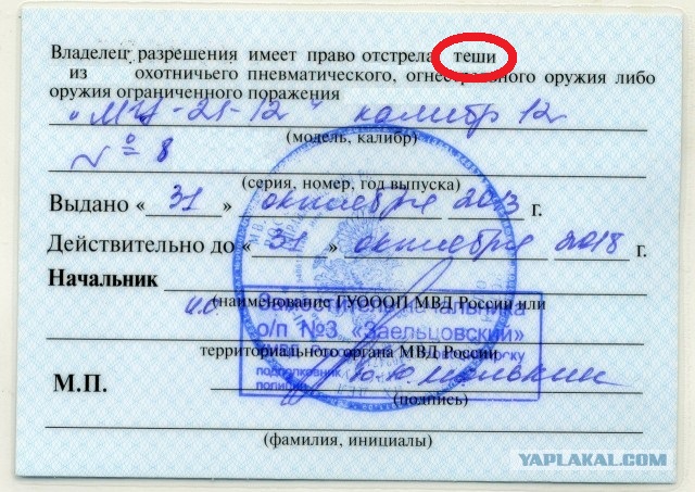 12 советов замужней женщины разведённым мужчинам