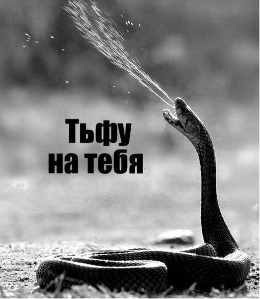 В-общем, бабы, - "вы все змеюки!"
