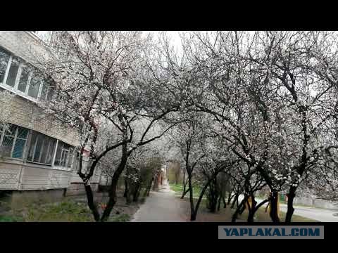 В Одессу на ПМЖ