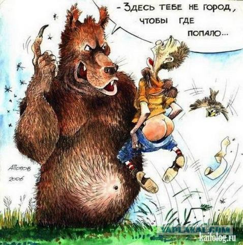 Даёшь картинкой по среде (26.02.2020)