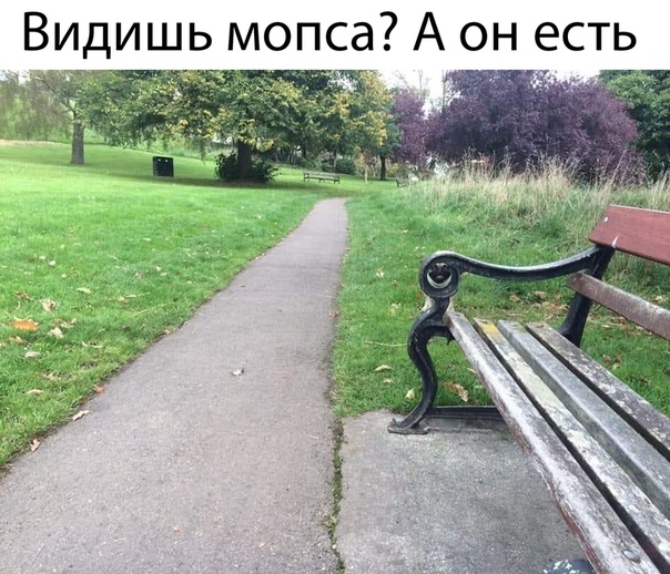 Немного картинок для настроения 06.04.20
