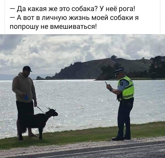 Пара-пара-пам! Фьють! От 15.04.2020