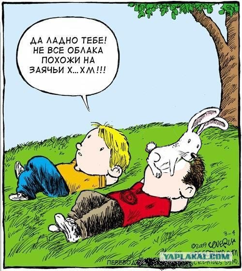 Смотрим на облака вместе