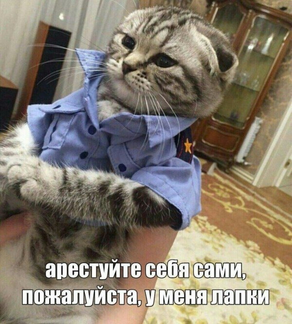Не очень адекватный юмор