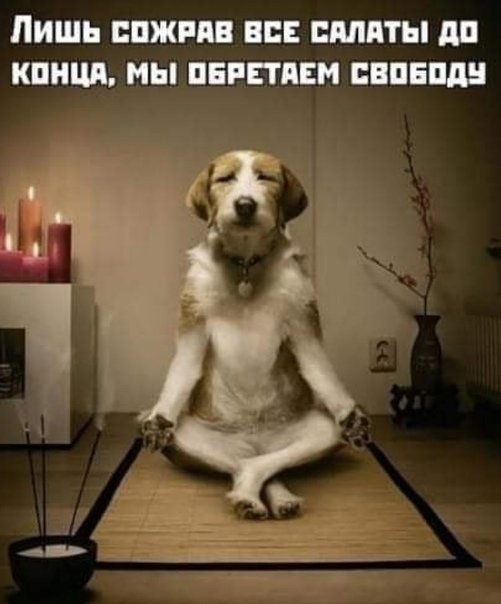 Картинки обо всëм. 07.01.20