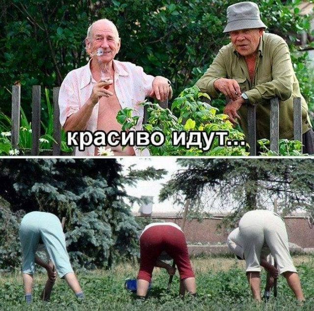 Картинки с надписями и всякие жизненные фразы 23.1.21