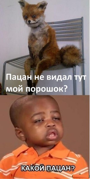 Таксидермия + наркомания