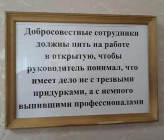 Алкопост 13.08.21