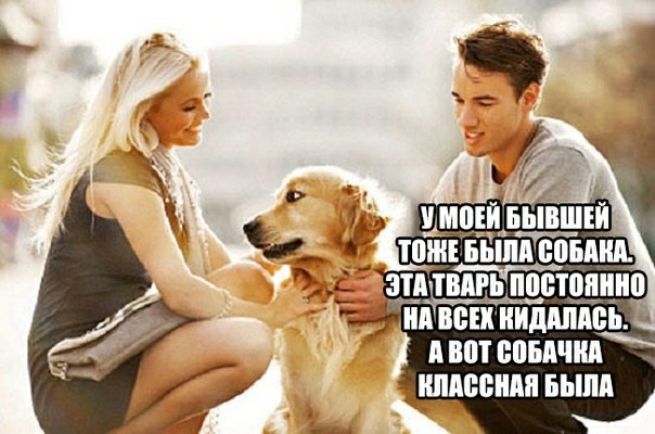 Картинки и мемы для настроения 21.10.21