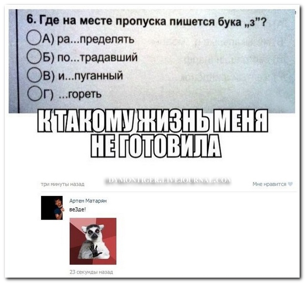 Картинки и мемы для настроения 01.11.2021