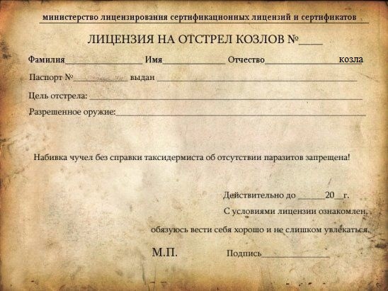 Так себе картинки 13.11.21