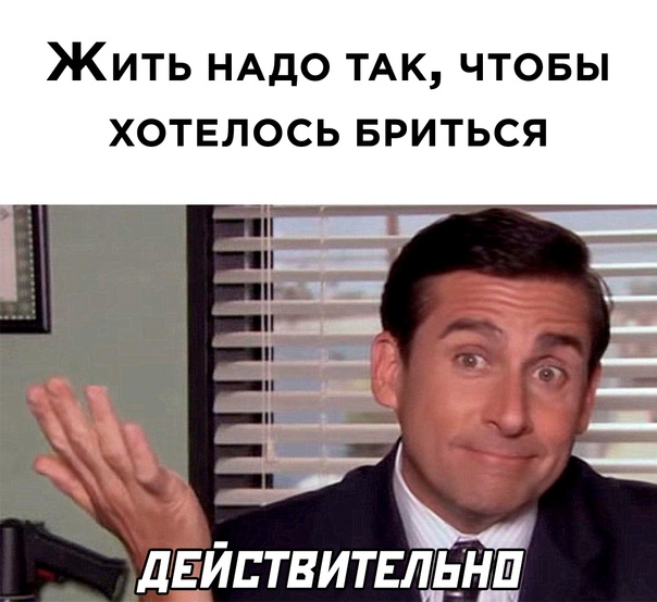 Человек собаке друг и другие картинки и мемы  под настроение