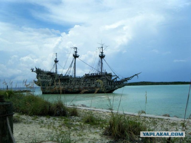 Ублюдки Карибского моря
