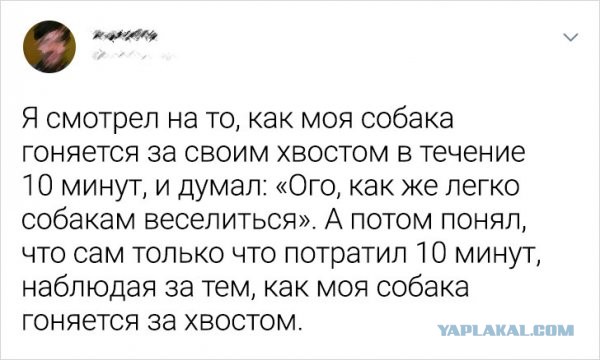 Забавные и веселые картинки