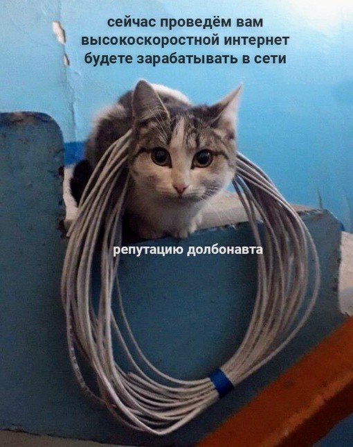 Картинки и мемы, всем хороших выходных