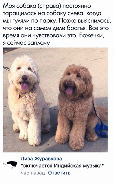 Так себе картинки 18.04.22