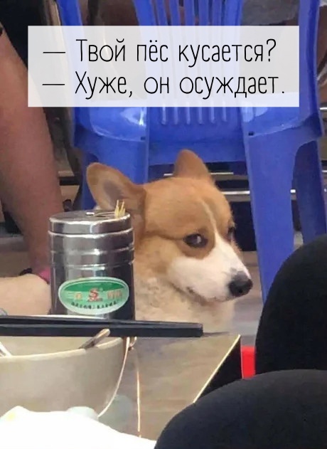 Так себе картинки 17.05.22