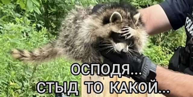 Должна ли жена иметь приданое?