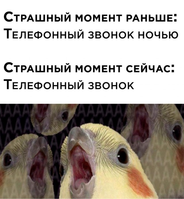 Картинки и мемы для настроения - 31