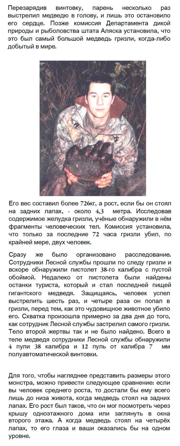 Чё реально  ни разу медведя не выключали?
