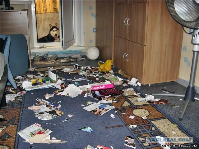 А кто же это сдеееелал?!