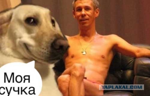 Панина арестовали в столице Эстонии
