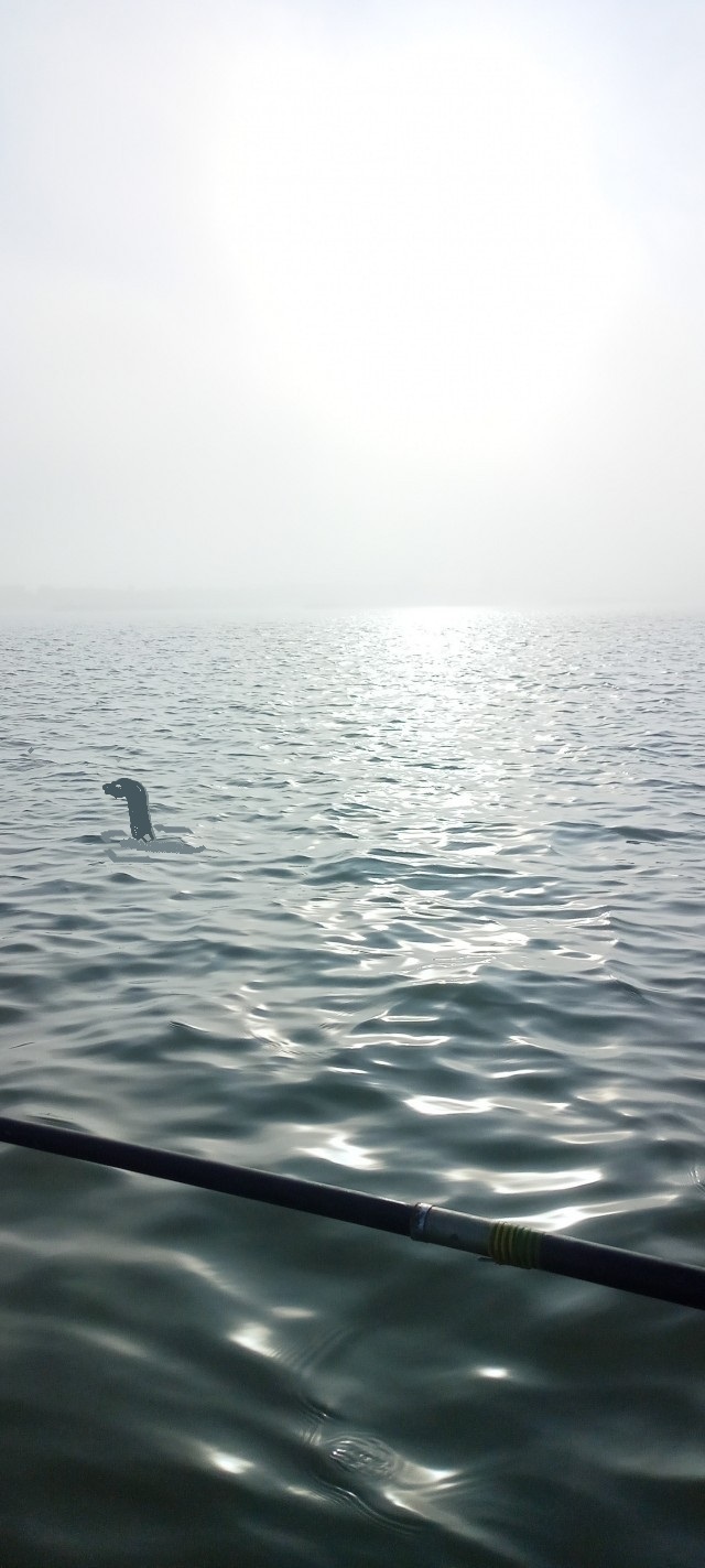 Рыбалка на Азовском море