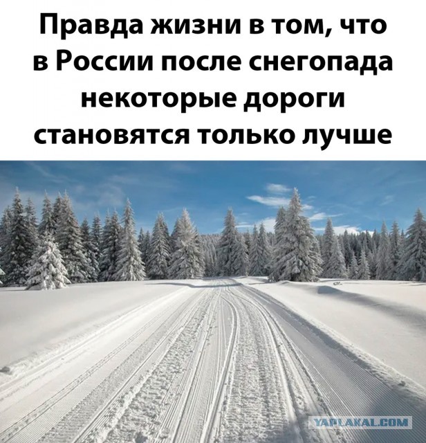 Десять пятничных картинок