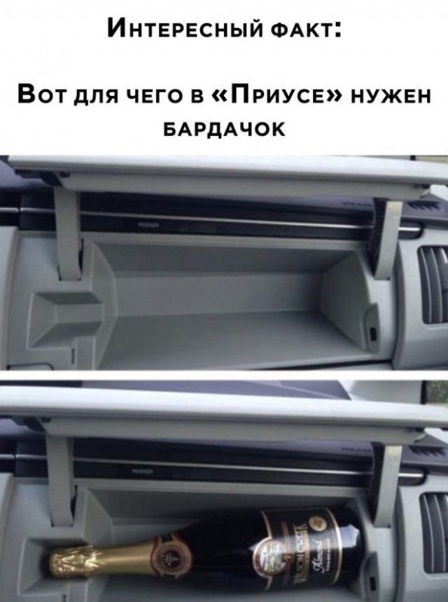 Подборка интересных и веселых картинок 14.02.24