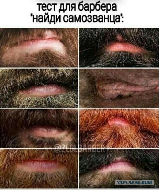 Знаменитости с усами и без