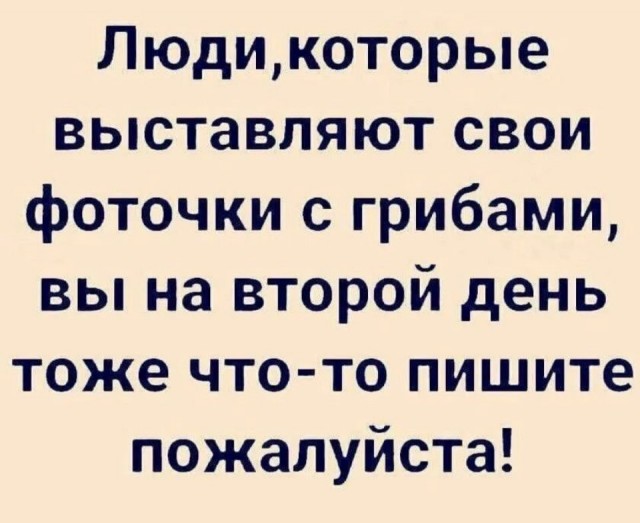 Небольшой фотоотчет, как за белыми грибами ходили. ЯНАО, г.Надым