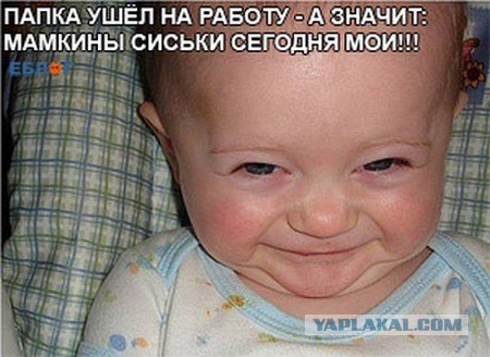 Завалялось тут случайно немного забавных картинок