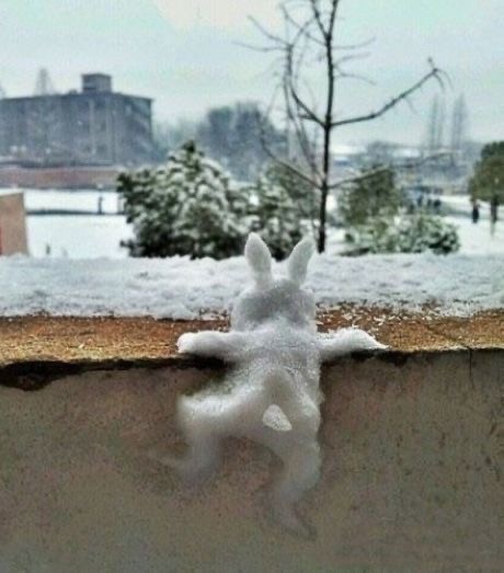 Прикольные и просто красивые картинки 07.01.2025