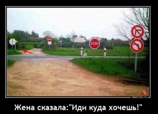 Так себе картинки 14.02.25