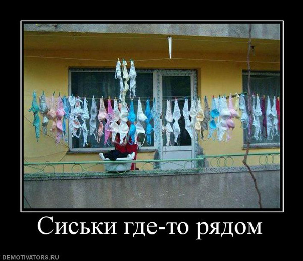 Сиськи