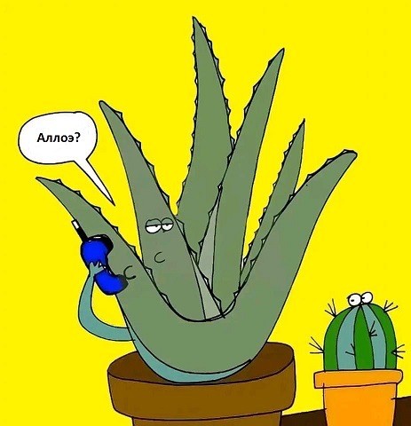 Веселое настроение в картинках (13.08.2025)