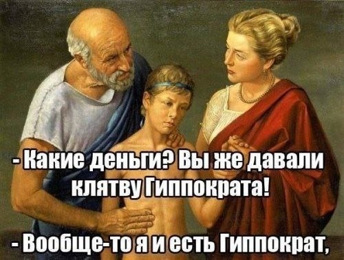 Бродячая кошка принесла своего котёнка в ветеринарную клинику