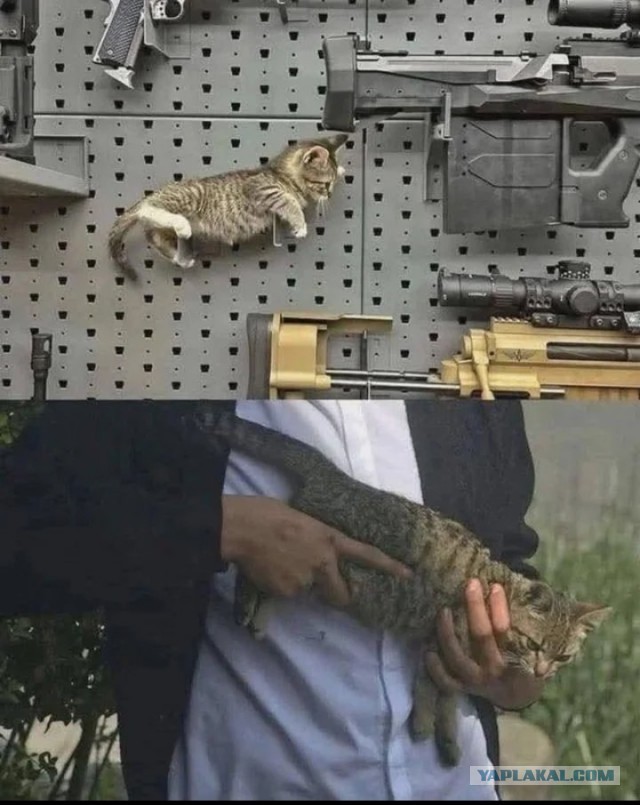 Разная хрень