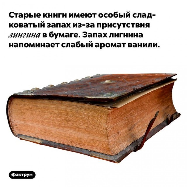 Куча мала 13