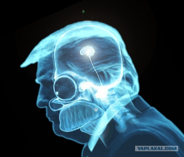 Это вам не Сирия