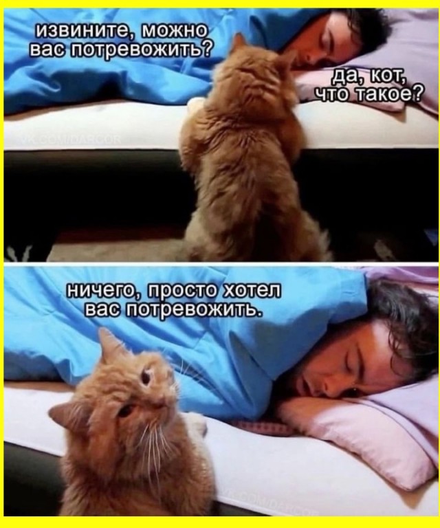 Картинки всякие разные невпопад 1.2