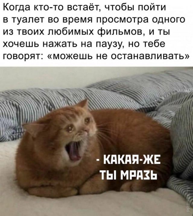 Картинки всякие разные невпопад 1.4